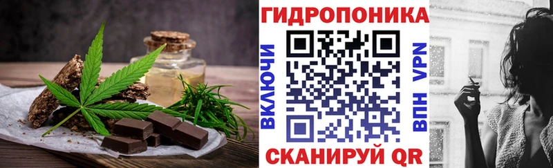 Купить закладки  Королёв  Печенье с ТГК конопля 