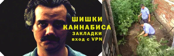 сатива Куйбышев