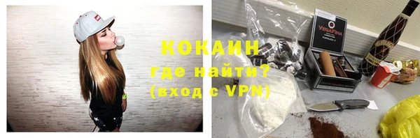 сатива Куйбышев