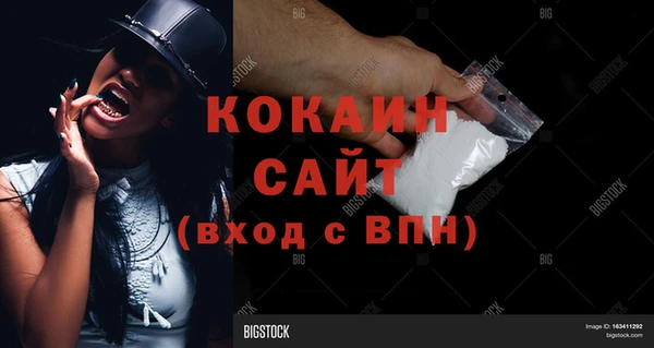 сатива Куйбышев