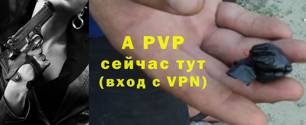 сатива Куйбышев