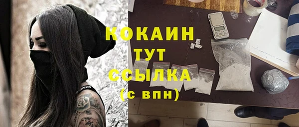 сатива Куйбышев
