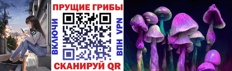 Псилоцибиновые грибы Magic Shrooms  Купить где  Королёв 