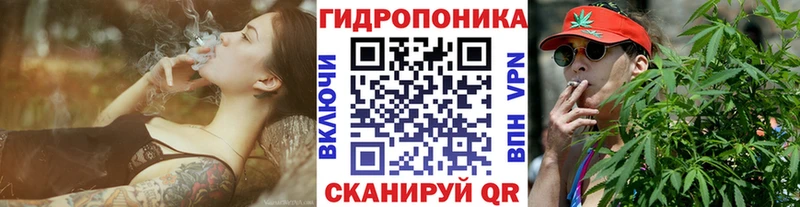 Бошки марихуана Amnesia  Купить закладки  Королёв 